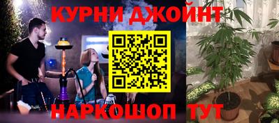 стаф Кунгур
