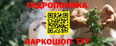 стаф Кунгур