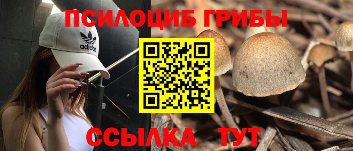 Елизово  Галлюциногенные грибы Cubensis  где купить наркоту  Псилоцибиновые грибы мухоморы  Вход с VPN 