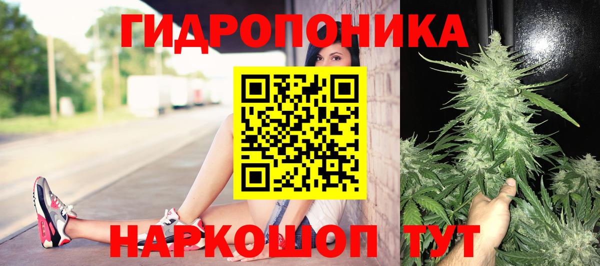 Бошки марихуана AK-47 Елизово